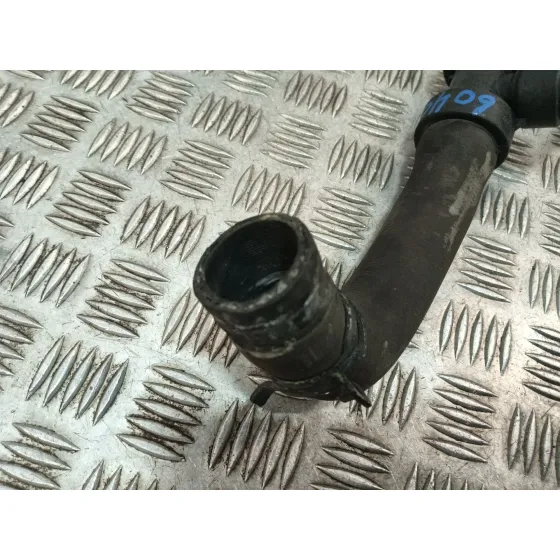 Tubo para Renault Wind (E4M_)