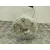 Aforador para Alfa Romeo 147 (937_)