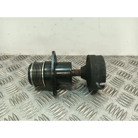 Polea Alternador para Ford C-Max (Dm2)