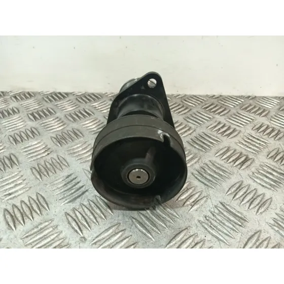 Polea Alternador para Ford C-Max (Dm2)