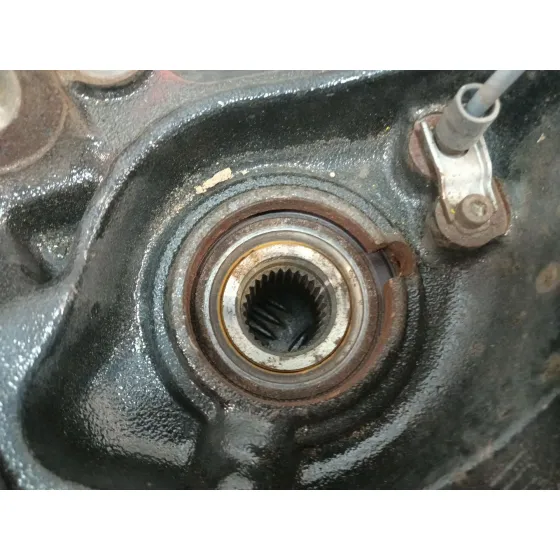 Mangueta Trasera Izquierda para Bmw Serie 3 Lim. (F30)