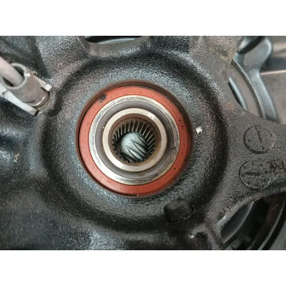 Mangueta Trasera Derecha para Bmw 1 (E81)