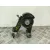Soporte Motor para Toyota Auris (_E15_)