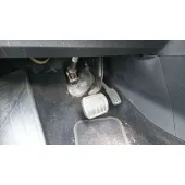 Pedal Acelerador para Peugeot 3008 Ii Suv (Mc_, Mr_, Mj_, M4_)