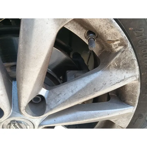 Mangueta Delantera Derecha para Nissan Qashqai Ii (J11, J11_)