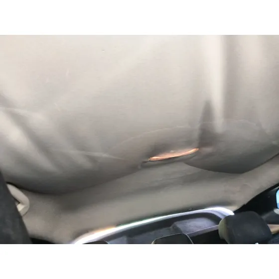 Techo Interior para Nissan Qashqai Ii (J11, J11_)