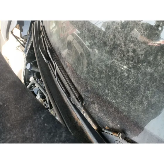 Brazo Limpia Delantero Izquierdo para Peugeot 307 Cc (3B)
