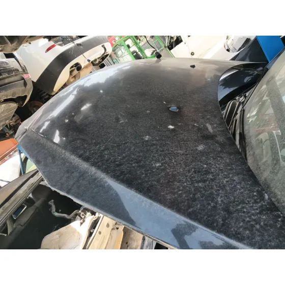 Capot Delantero para Peugeot 307 Cc (3B)