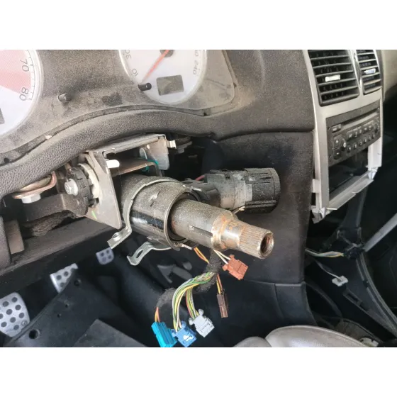 Columna Direccion para Peugeot 307 Cc (3B)
