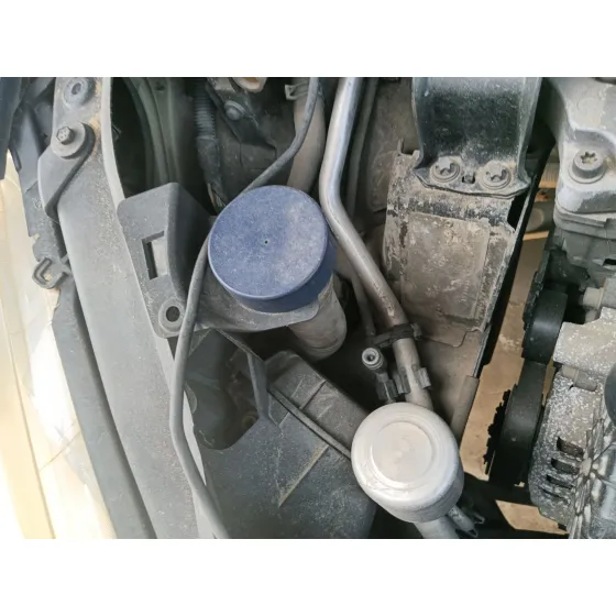 Deposito Limpia para Peugeot 307 Cc (3B)