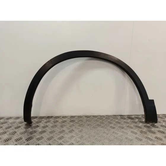 Aletin Delantero Izquierdo para Nissan Qashqai I (J10, Nj10)
