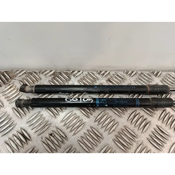 Amortiguadores Maletero / Porton para Toyota C-Hr (_X1_)