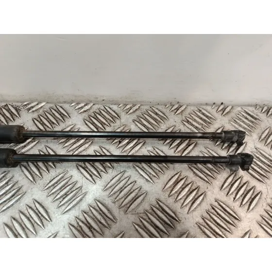 Amortiguadores Maletero / Porton para Toyota C-Hr (_X1_)