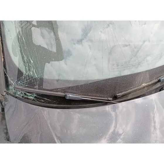 Brazo Limpia Delantero Derecho para Audi A3 Sportback (8Va, 8Vf)