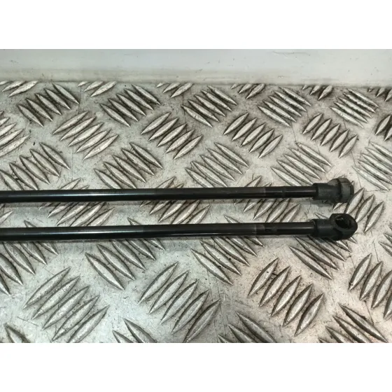 Amortiguadores Maletero / Porton para Citroën C4 Cactus