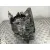 Caja Cambios para Renault Laguna Iii (Bt0/1)