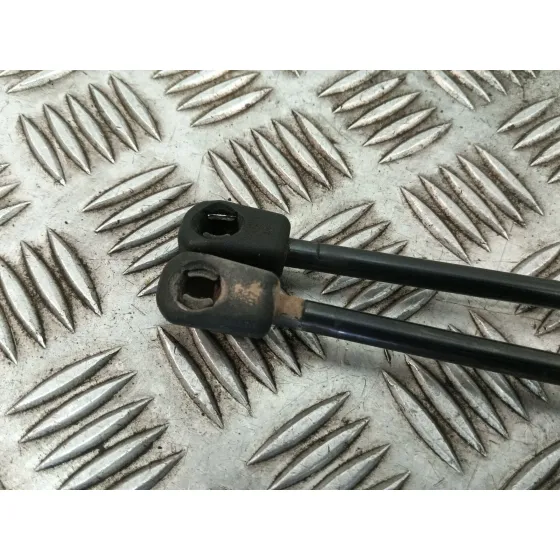 Amortiguadores Maletero / Porton para Volkswagen Tiguan (5N_)