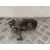 Pinza Freno Trasera Derecha para Honda Civic Vii Hatchback (Eu, Ep, Ev)