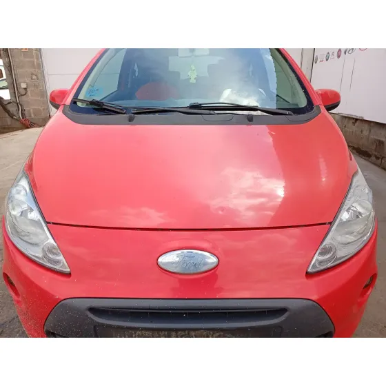 Capot Delantero para Ford Ka (Ru8)