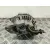 Alternador para Nissan X-Trail I (T30)