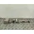Cinturon Seguridad Trasero Central para Nissan X-Trail I (T30)