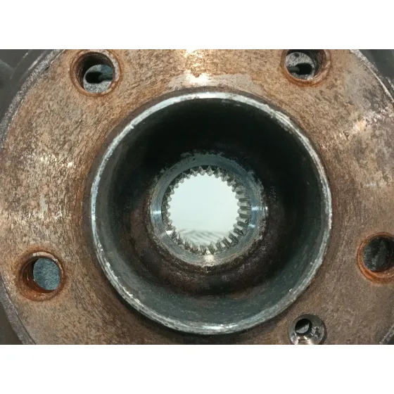 Mangueta Trasera Izquierda para Bmw X5 (E53)