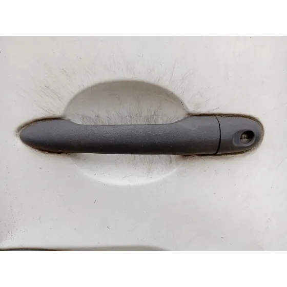 Maneta Exterior Porton para Renault Kangoo Express (Fw0/1_)