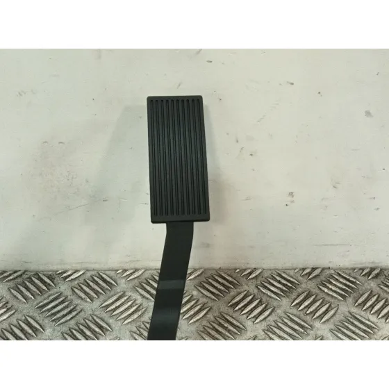 Potenciometro Acelerador para Nissan Pathfinder Iii (R51)