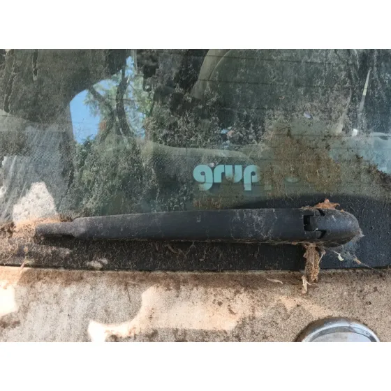 Brazo Limpia Trasero para Fiat 500 (312_)