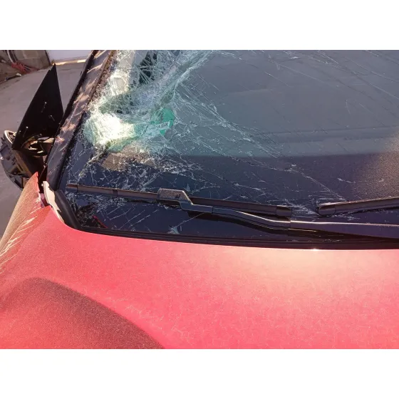 Brazo Limpia Delantero Derecho para Citroën C4 Iii (Ba_, Bb_, Bc_)