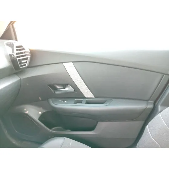 Guarnecido Puerta Delantera Derecha para Citroën C4 Iii (Ba_, Bb_, Bc_)