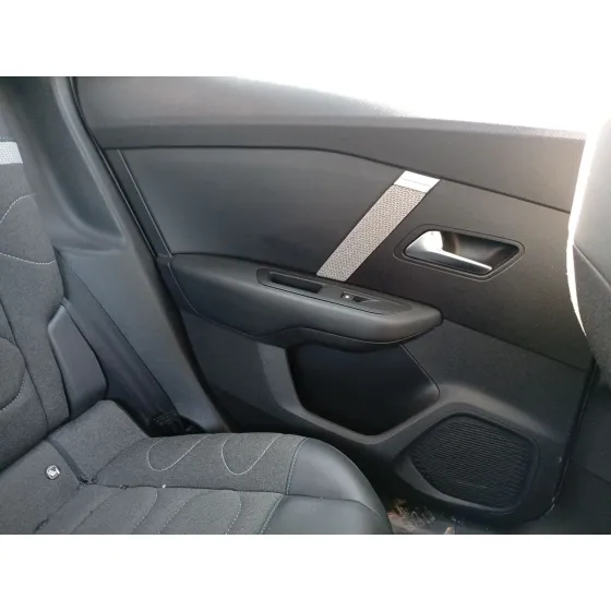 Guarnecido Puerta Trasera Izquierda para Citroën C4 Iii (Ba_, Bb_, Bc_)