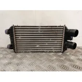 Intercooler para Citroën C4 Iii (Ba_, Bb_, Bc_)