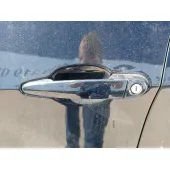 Maneta Exterior Delantera Izquierda para Bmw X5 (E70)
