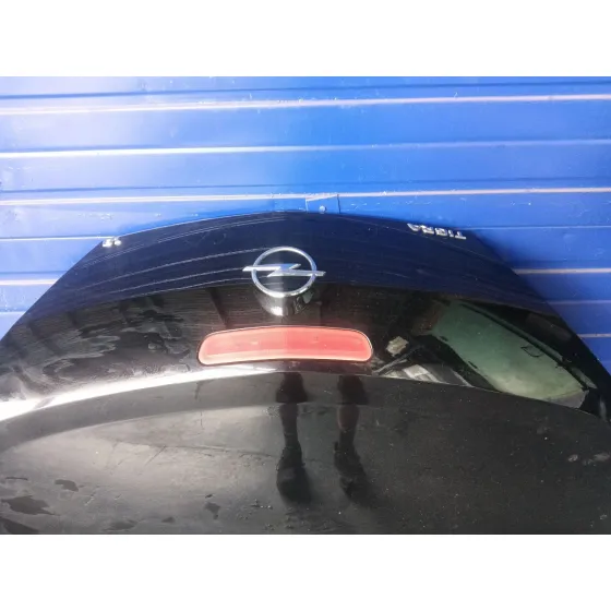 Porton Trasero para Opel Tigra Twintop (X04)