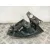 Piloto Trasero Derecho para Seat Ibiza Iii (6L1)