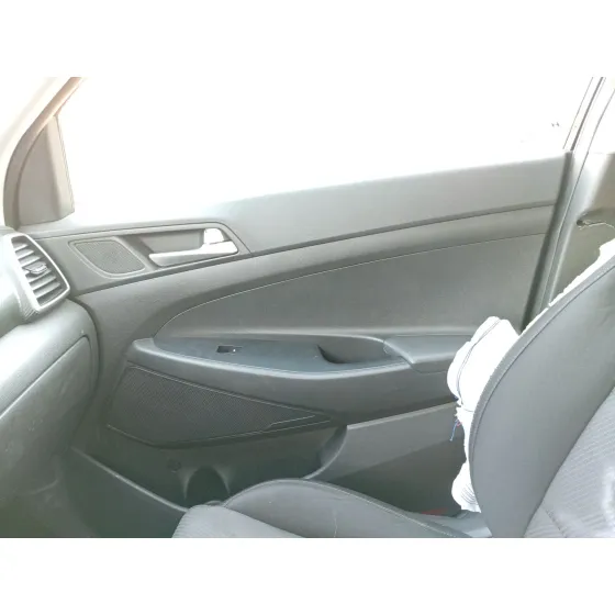 Guarnecido Puerta Delantera Derecha para Hyundai Tucson (Tl, Tle)