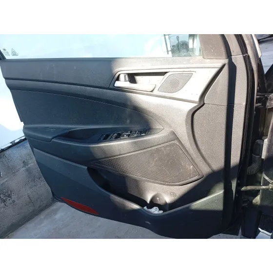 Guarnecido Puerta Delantera Izquierda para Hyundai Tucson (Tl, Tle)