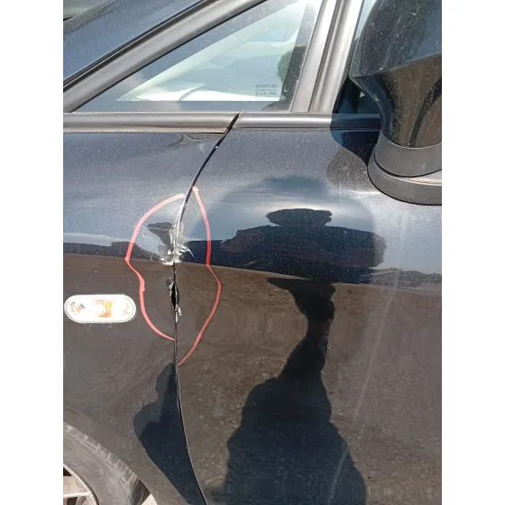 Puerta Delantera Izquierda para Seat Leon (1P1)