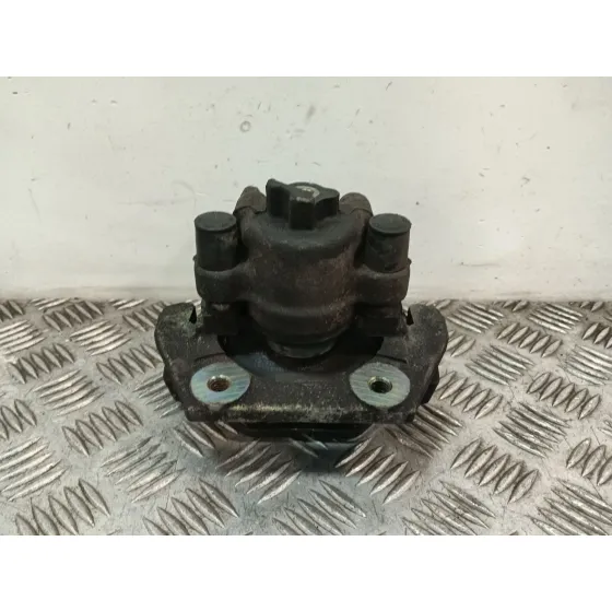 Pinza Freno Trasera Izquierda para Bmw X5 (E53)