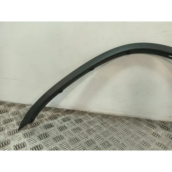 Aletin Delantero Izquierdo para Bmw X5 (E53)