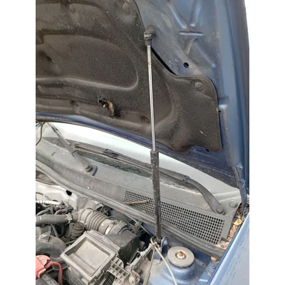 Amortiguadores Capo para Dacia Sandero Ii (B8_)