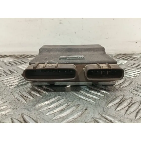 Modulo Electronico para Toyota Rav 4 (A2)