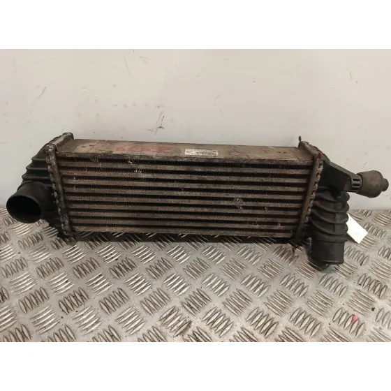 Intercooler para Renault Kangoo Express (Fw0/1_)