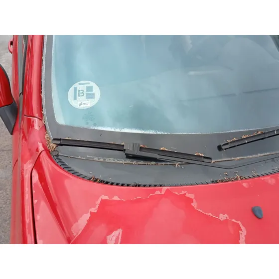 Brazo Limpia Delantero Derecho para Peugeot 207/207+ (Wa_, Wc_)