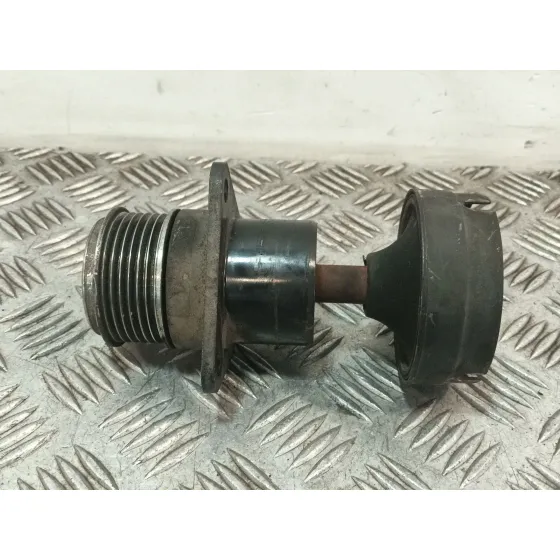 Polea Alternador para Ford Focus I (Daw, Dbw)