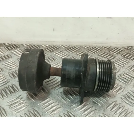 Polea Alternador para Ford Focus I (Daw, Dbw)