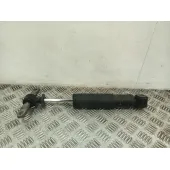 Amortiguador Trasero Izquierdo para Citroën Berlingo Furgoneta/Monovolumen (K9)