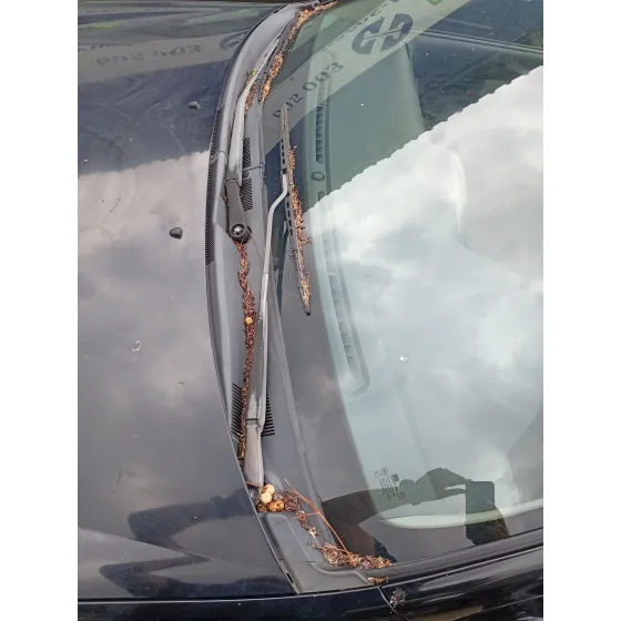 Torpedo para Kia Cerato I Hatchback (Ld)