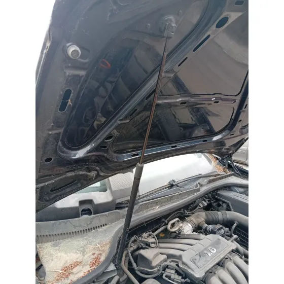 Amortiguadores Capo para Volkswagen Golf V (1K1)